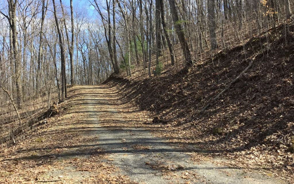 #61 Shiloh, Hayesville NC 28904 - Photo