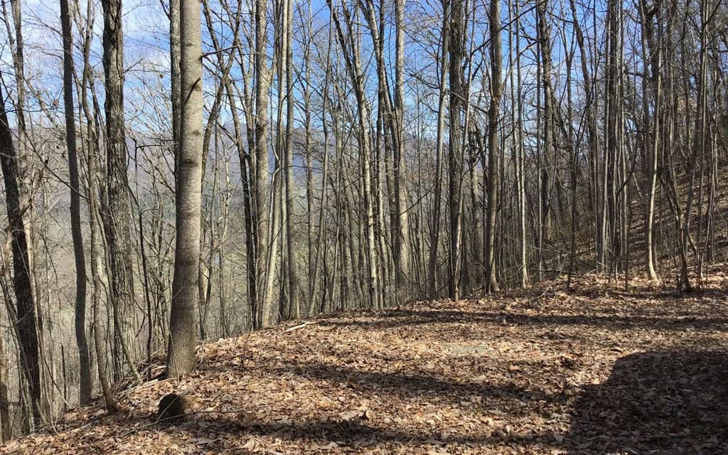 #61 Shiloh, Hayesville NC 28904 - Photo
