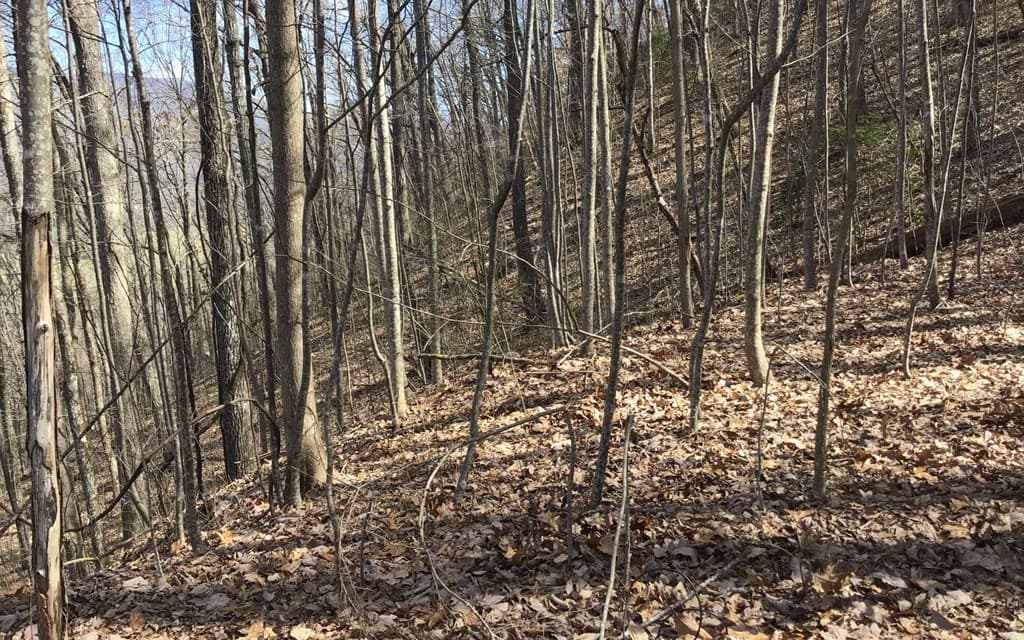 #61 Shiloh, Hayesville NC 28904 - Photo