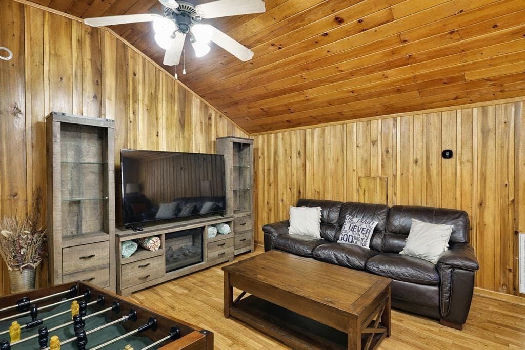 172 Sweetwater Road, Blue Ridge GA 30513 - Photo