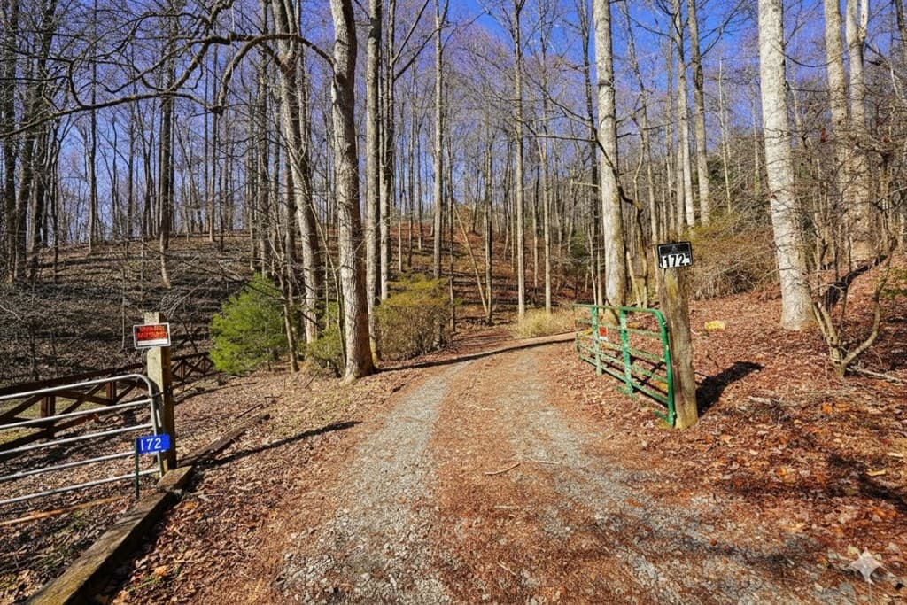 172 Sweetwater Road, Blue Ridge GA 30513 - Photo