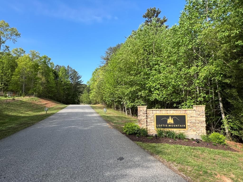 Lot 25 Loftis Mountain, Blairsville GA 30512 - Photo