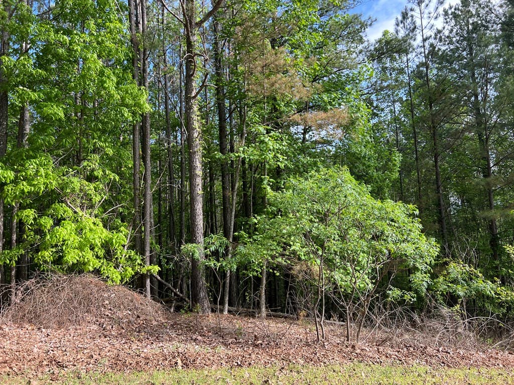 Lot 25 Loftis Mountain, Blairsville GA 30512 - Photo