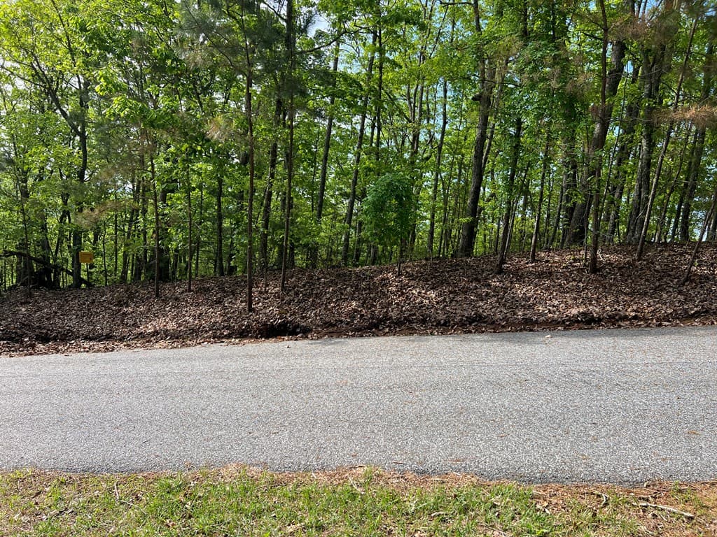 Lot 25 Loftis Mountain, Blairsville GA 30512 - Photo