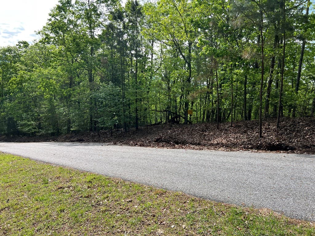 Lot 25 Loftis Mountain, Blairsville GA 30512 - Photo