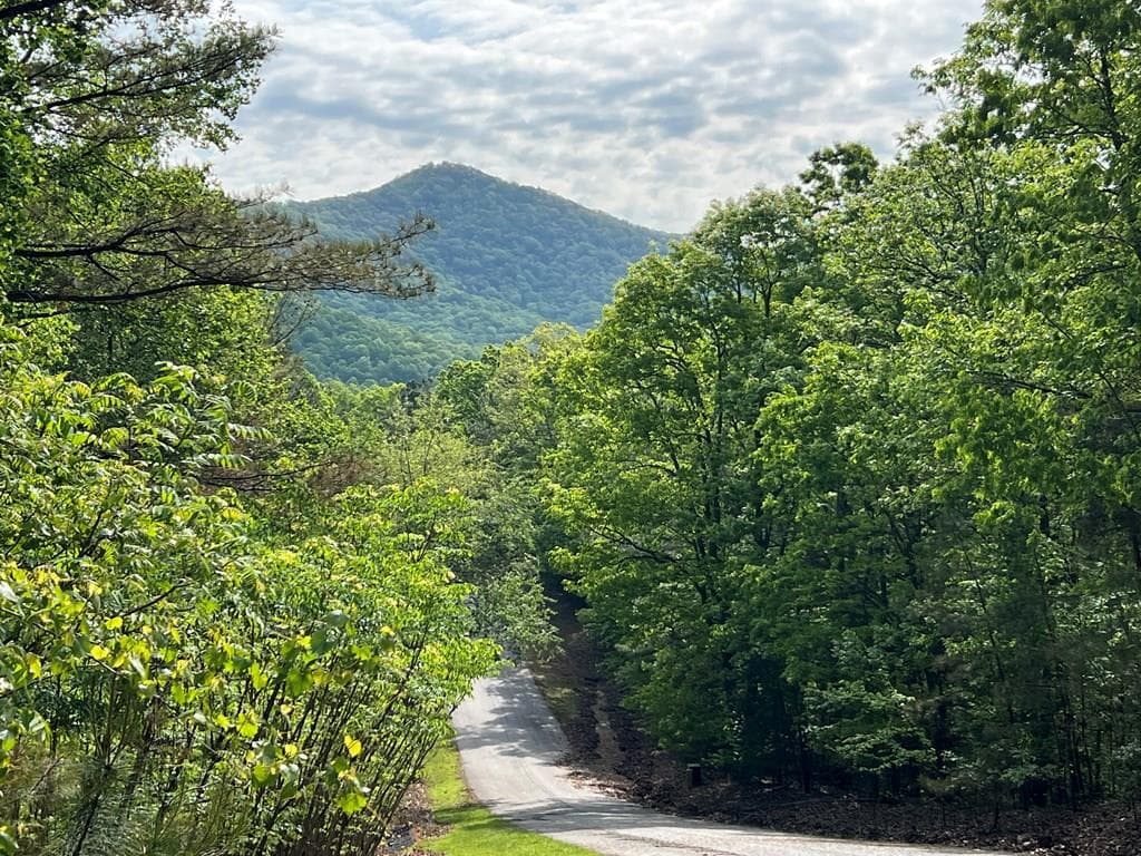 Lot 25 Loftis Mountain, Blairsville GA 30512 - Primary photo
