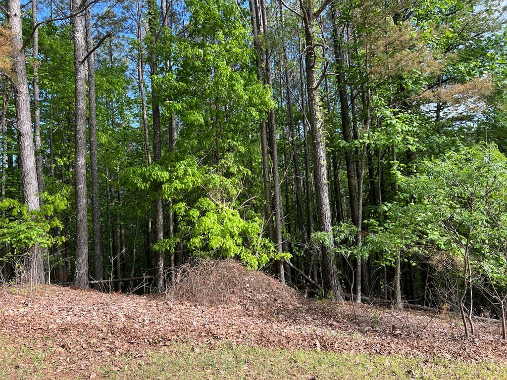 Lot 25 Loftis Mountain, Blairsville GA 30512 - Photo