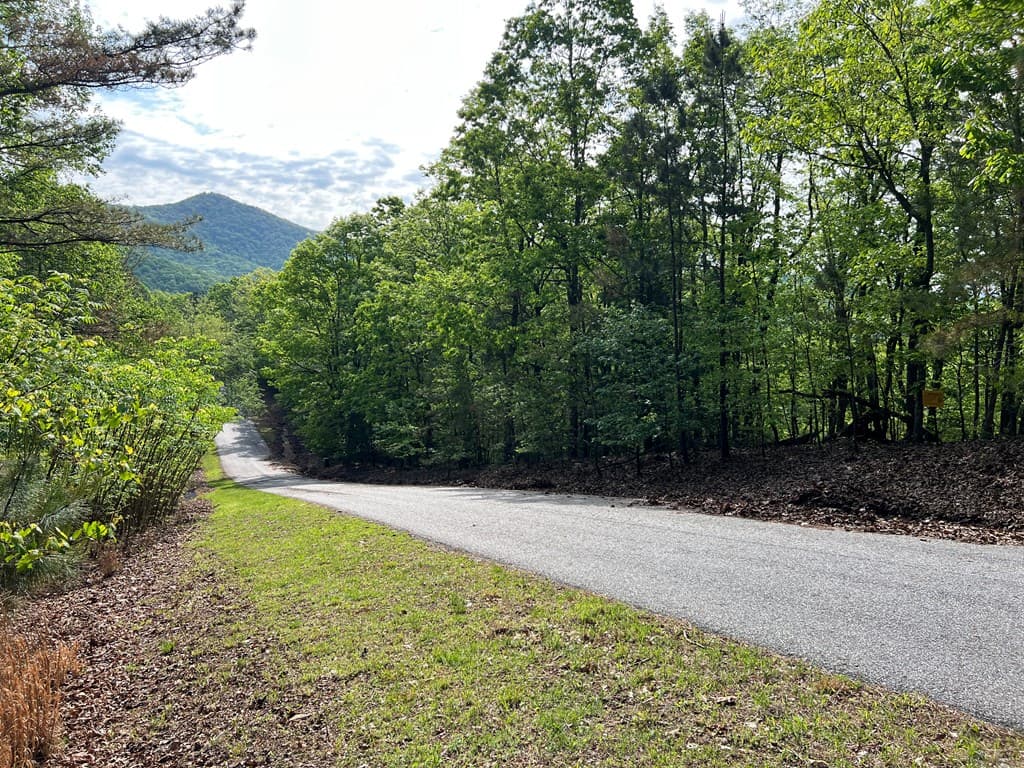 Lot 25 Loftis Mountain, Blairsville GA 30512 - Photo