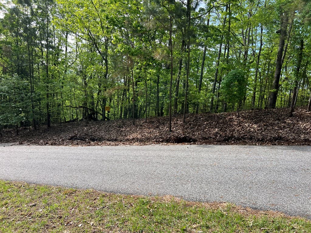 Lot 25 Loftis Mountain, Blairsville GA 30512 - Photo