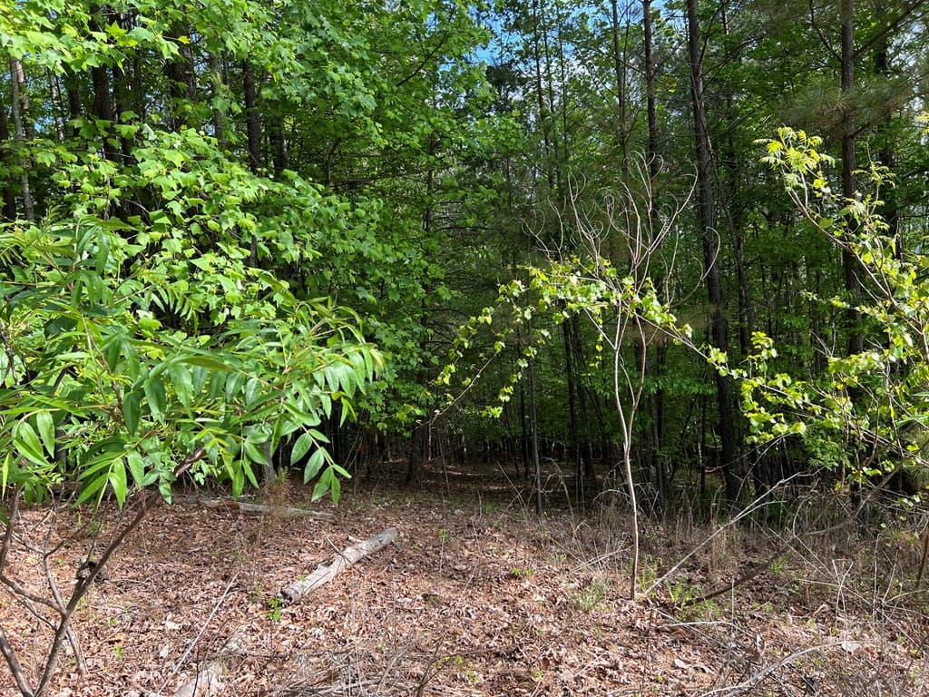 Lot 25 Loftis Mountain, Blairsville GA 30512 - Photo