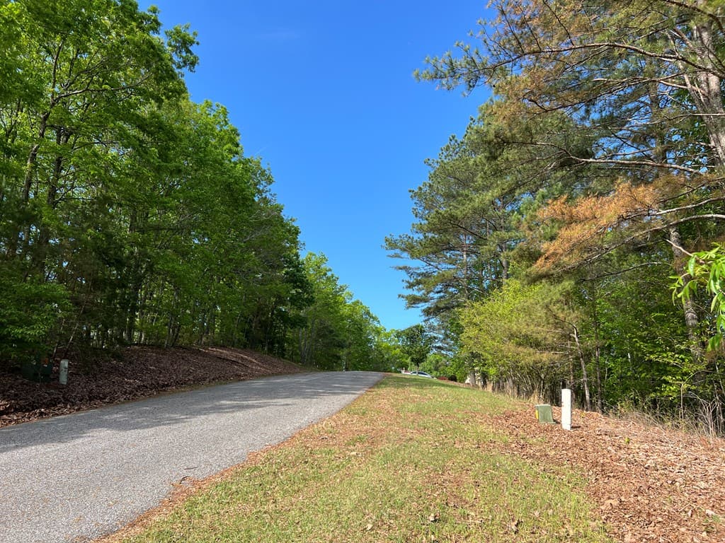 Lot 25 Loftis Mountain, Blairsville GA 30512 - Photo