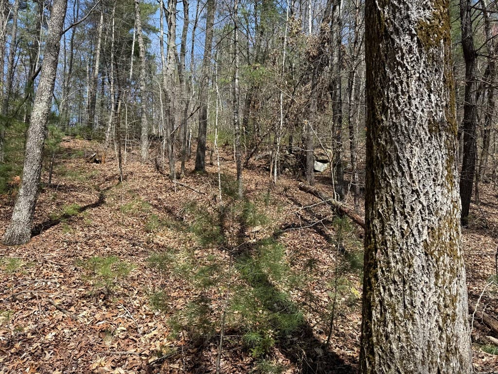 0 Morrow Road, Murphy NC 28906 - Photo