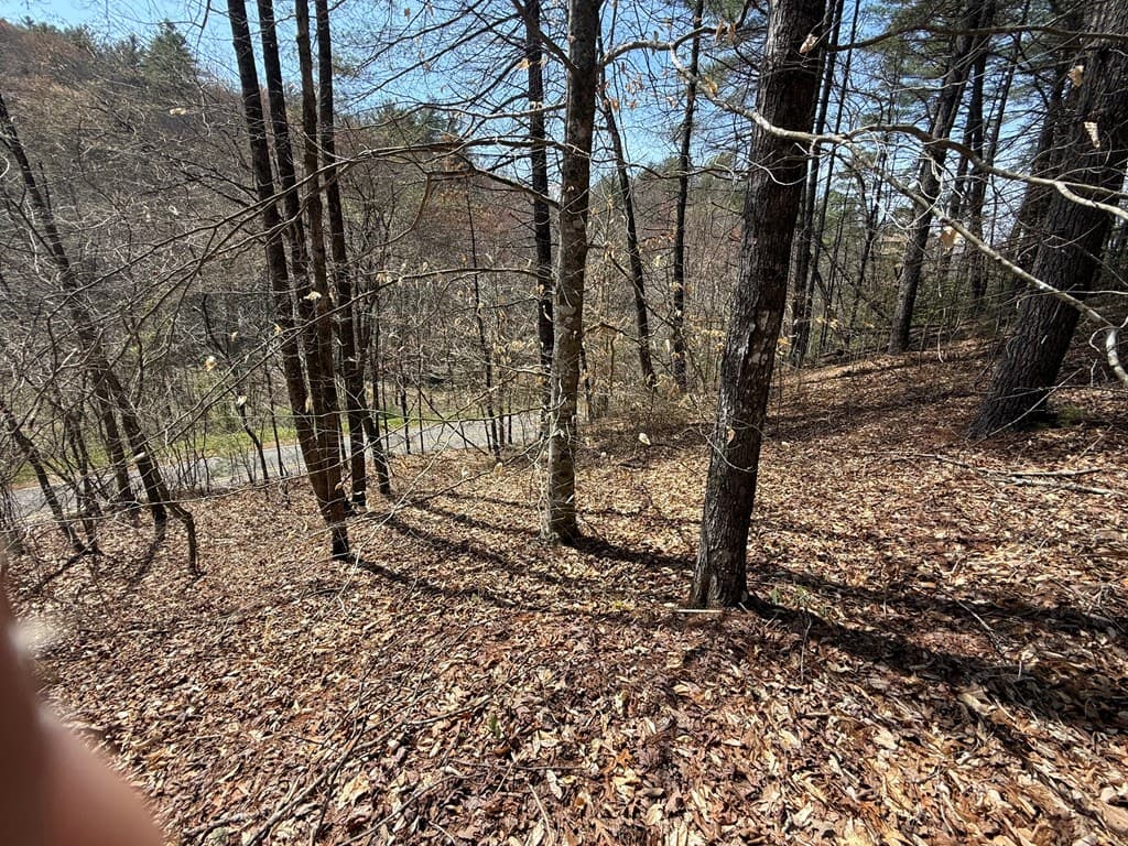 0 Morrow Road, Murphy NC 28906 - Photo