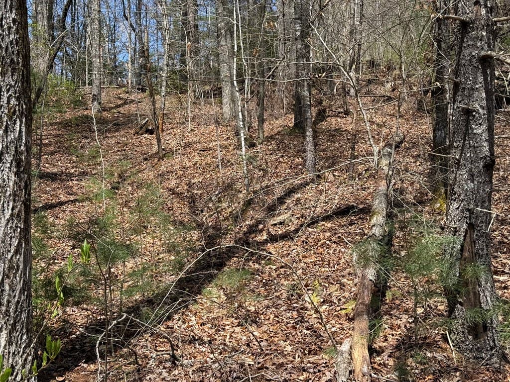 0 Morrow Road, Murphy NC 28906 - Photo
