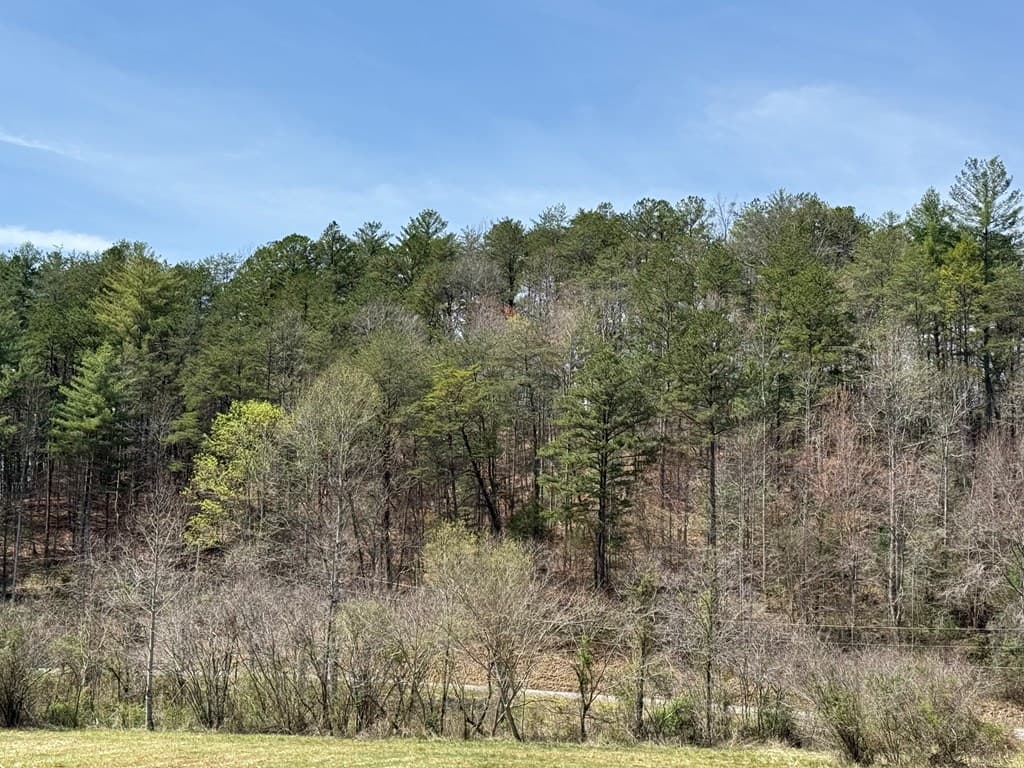 0 Morrow Road, Murphy NC 28906 - Photo