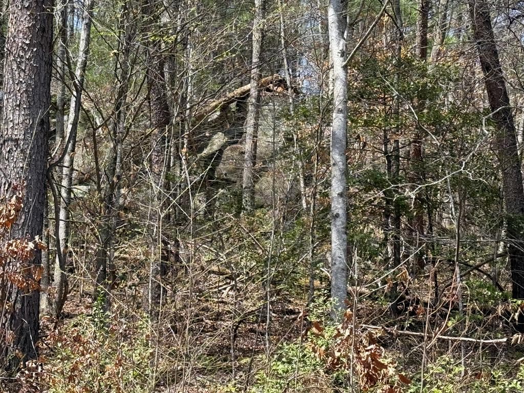 0 Morrow Road, Murphy NC 28906 - Primary photo