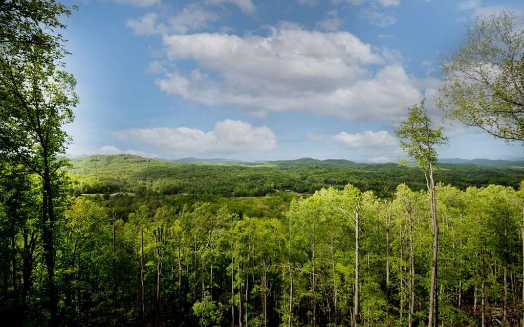 Lot 25 Scouts Overlook, Morganton GA 30560 - Primary photo