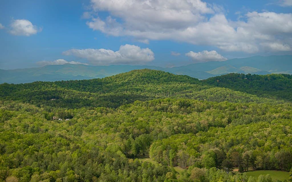 Lot 25 Scouts Overlook, Morganton GA 30560 - Photo