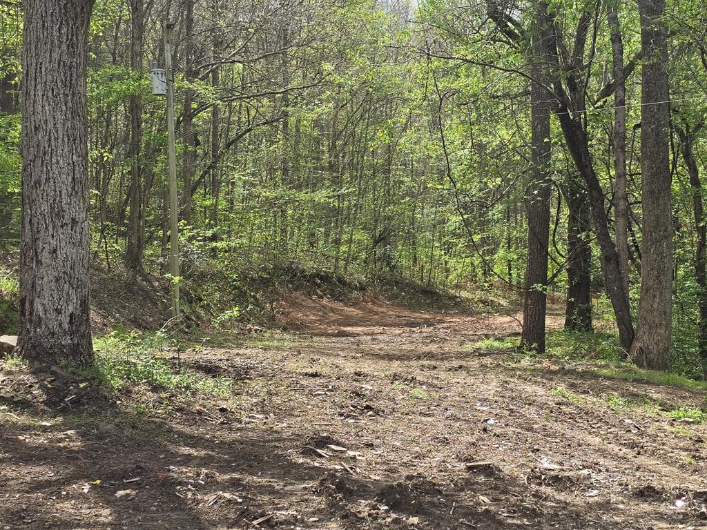 385 Elrod Circle, Turtletown TN 37391 - Photo