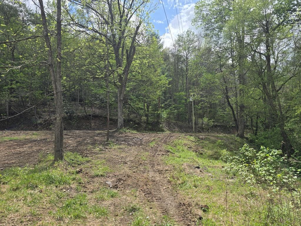 385 Elrod Circle, Turtletown TN 37391 - Photo