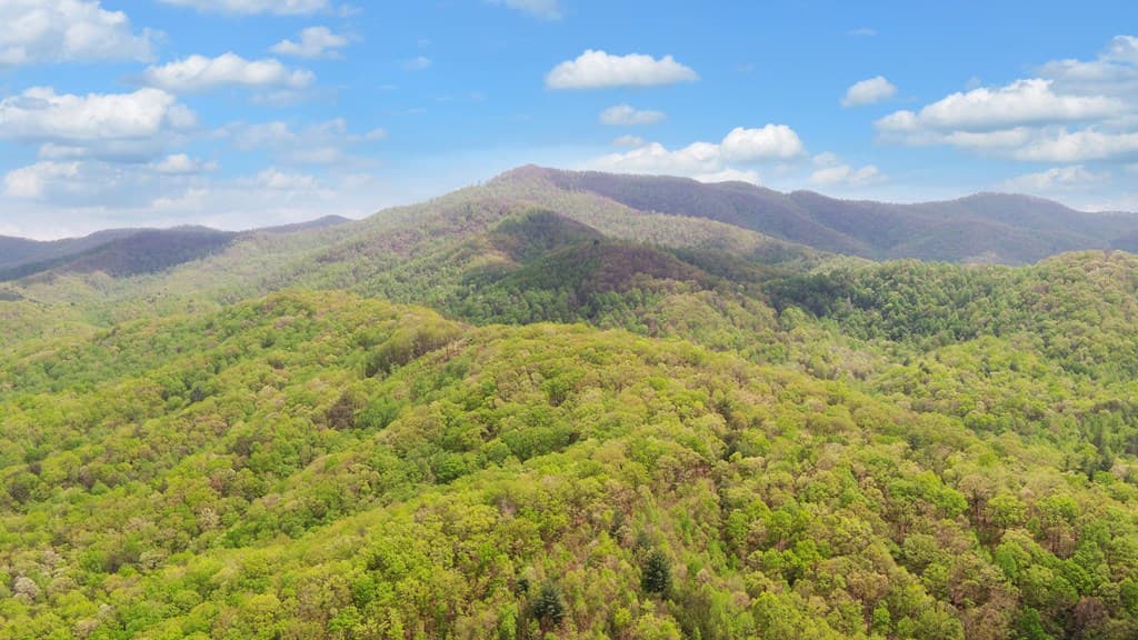 385 Elrod Circle, Turtletown TN 37391 - Photo