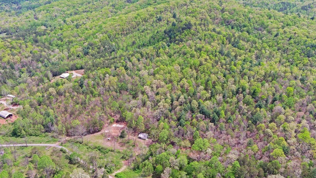 385 Elrod Circle, Turtletown TN 37391 - Photo