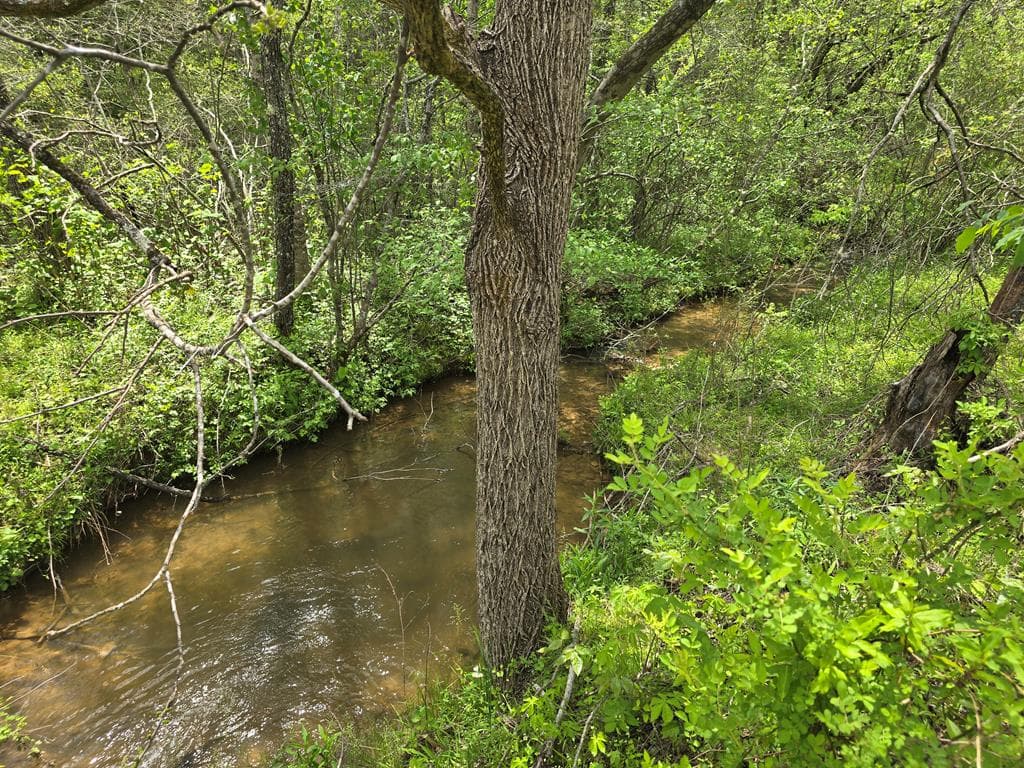 385 Elrod Circle, Turtletown TN 37391 - Photo