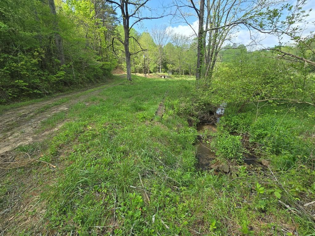385 Elrod Circle, Turtletown TN 37391 - Photo
