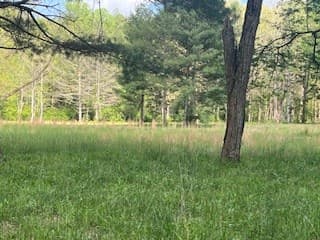 n/a Double Creek Drive, Suches GA 30572 - Photo