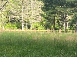 n/a Double Creek Drive, Suches GA 30572 - Photo