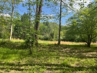 n/a Double Creek Drive, Suches GA 30572 - Photo