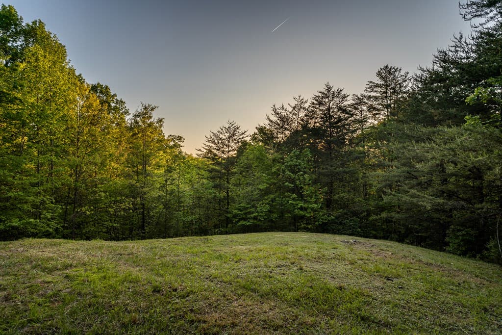 433 Spruce Circle, Mineral Bluff GA 30559 - Photo