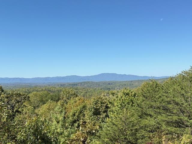 433 Spruce Circle, Mineral Bluff GA 30559 - Photo