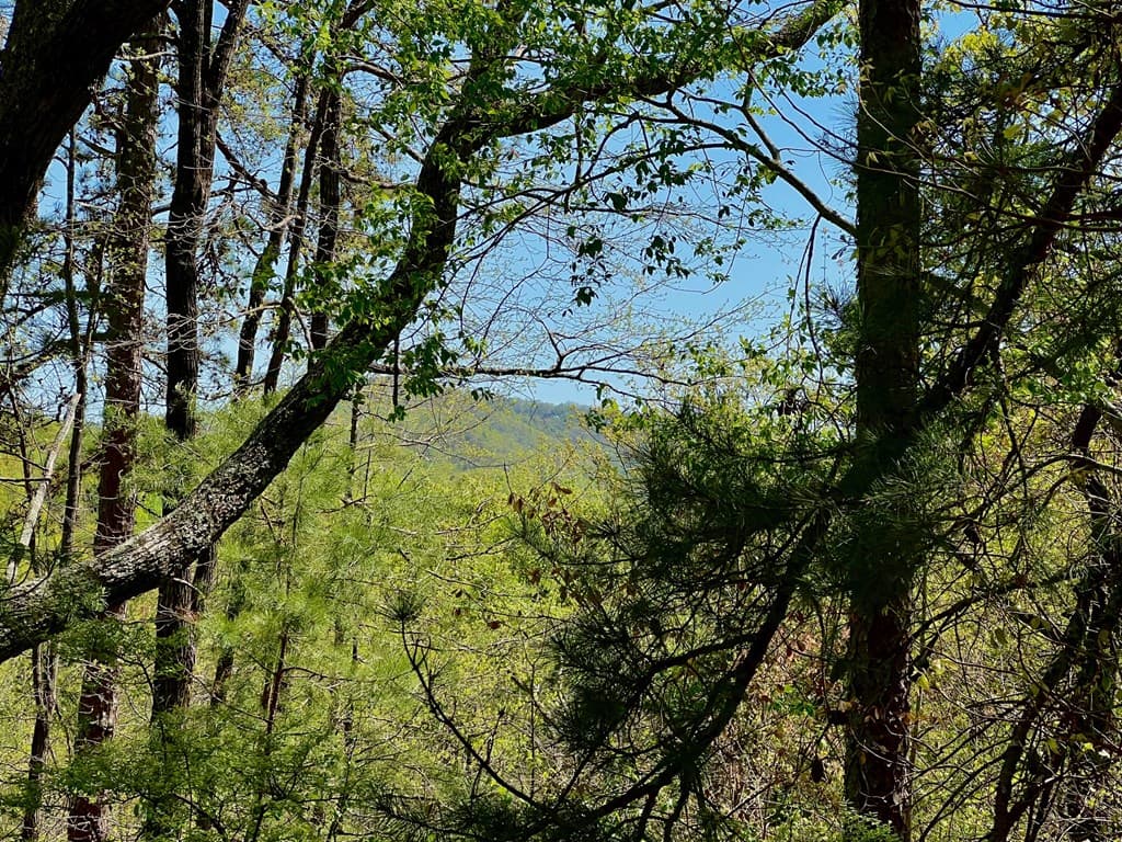 694 Railey Ridge, Ranger GA 30734 - Photo
