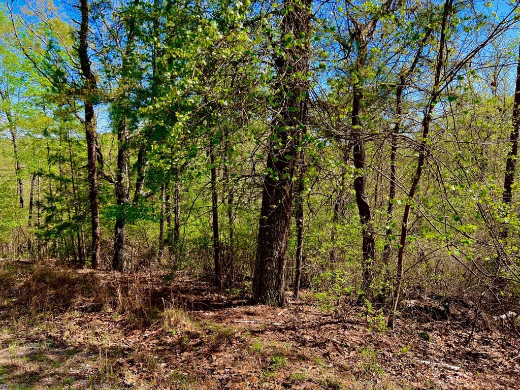 694 Railey Ridge, Ranger GA 30734 - Photo
