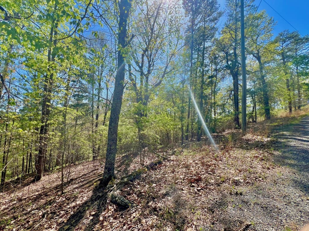 694 Railey Ridge, Ranger GA 30734 - Photo