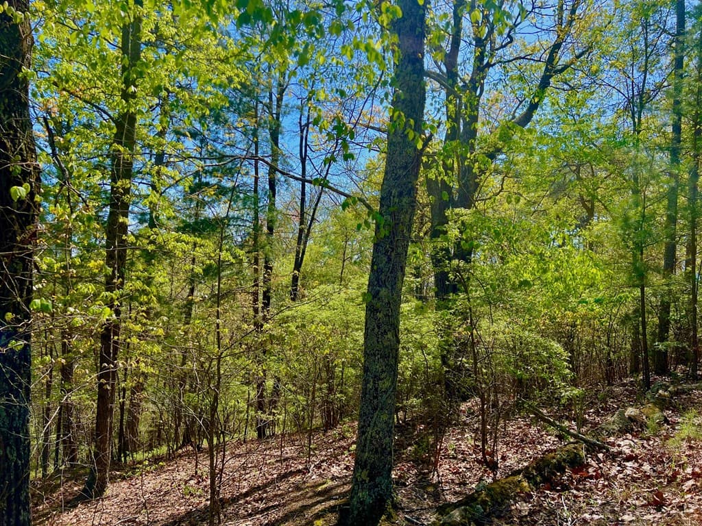 694 Railey Ridge, Ranger GA 30734 - Photo