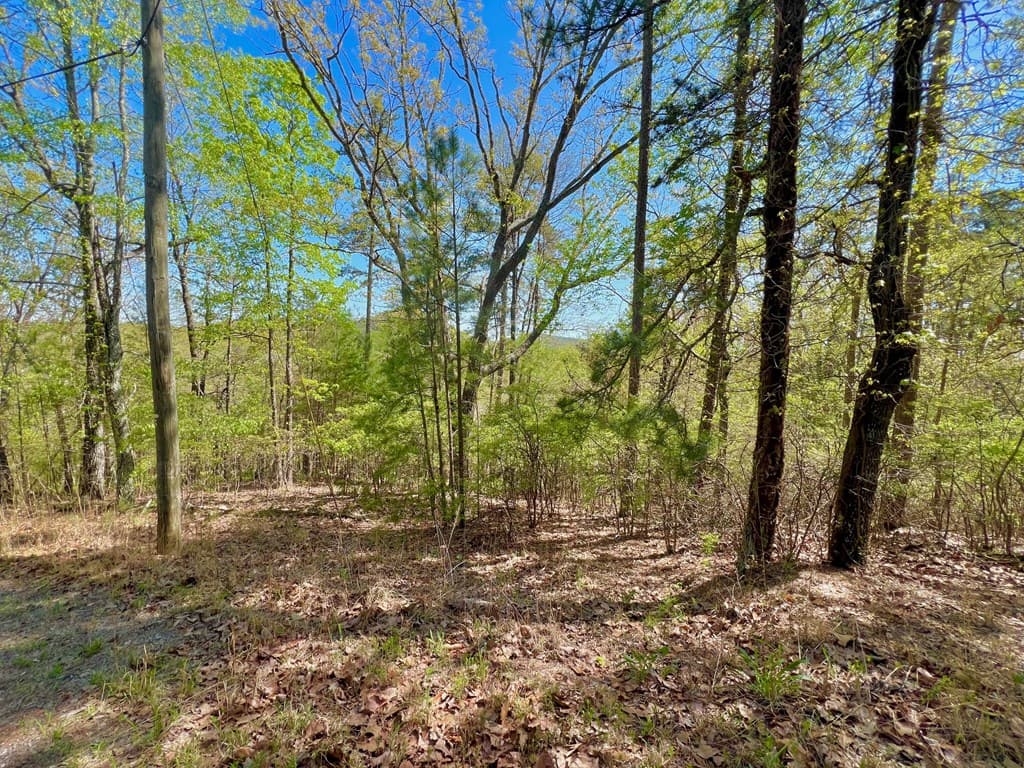 694 Railey Ridge, Ranger GA 30734 - Photo