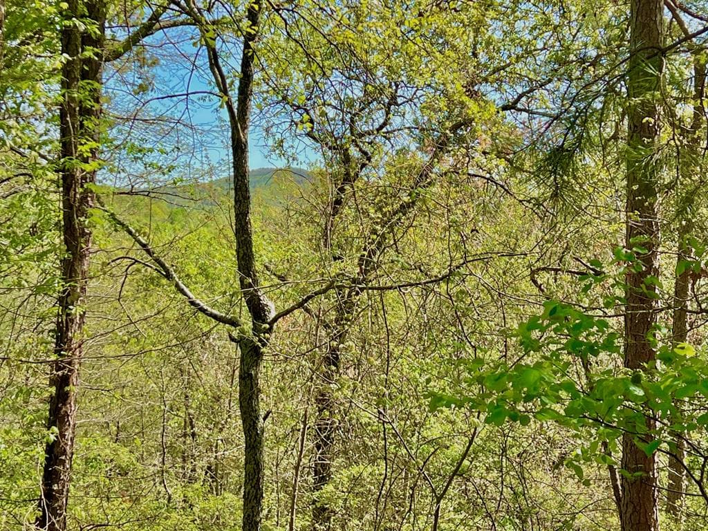 694 Railey Ridge, Ranger GA 30734 - Primary photo