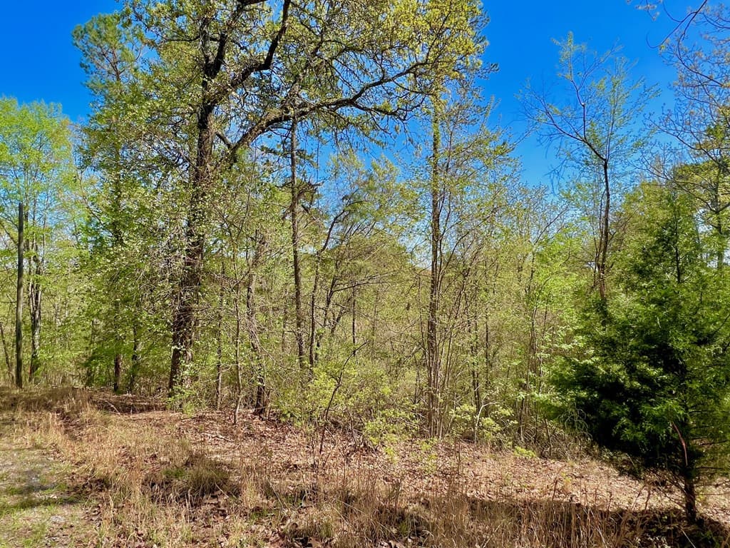 694 Railey Ridge, Ranger GA 30734 - Photo