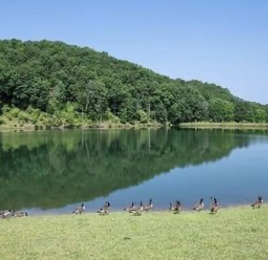 694 Railey Ridge, Ranger GA 30734 - Photo