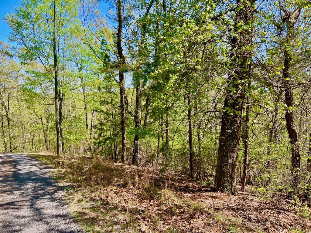 694 Railey Ridge, Ranger GA 30734 - Photo