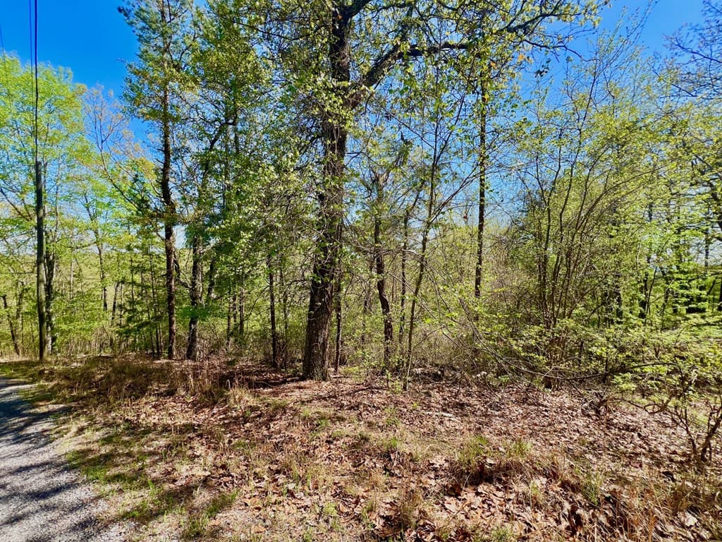 694 Railey Ridge, Ranger GA 30734 - Photo