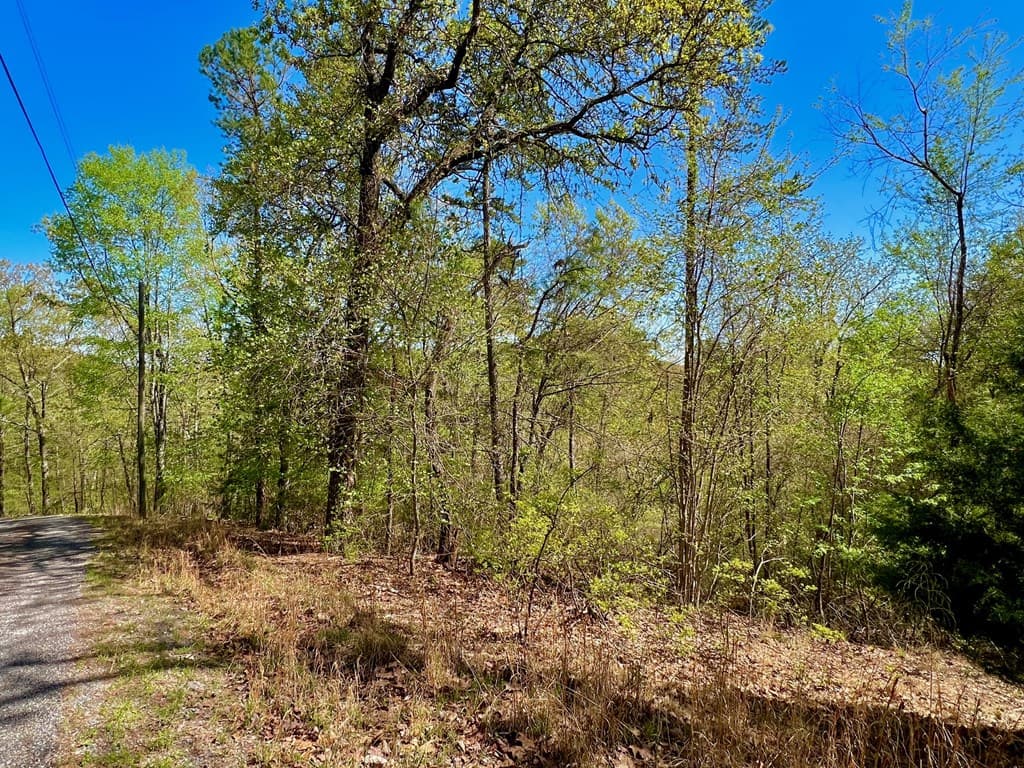 694 Railey Ridge, Ranger GA 30734 - Photo