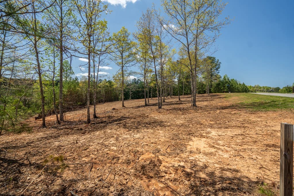 Lot 41 Sandy Lake Lane, Blairsville GA 30512 - Photo