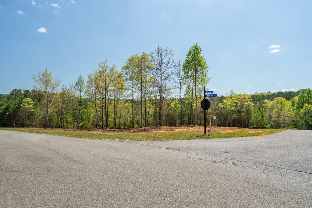 Lot 41 Sandy Lake Lane, Blairsville GA 30512 - Photo
