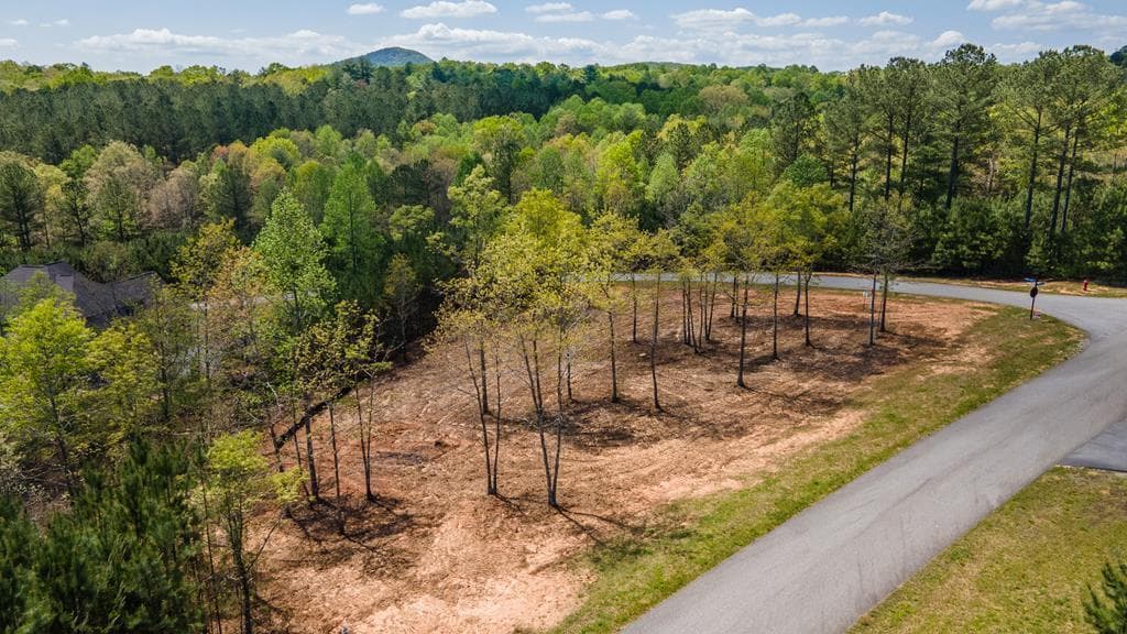 Lot 41 Sandy Lake Lane, Blairsville GA 30512 - Primary photo