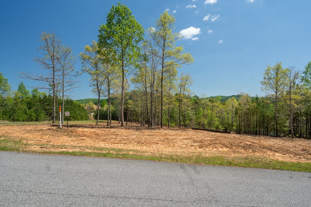 Lot 41 Sandy Lake Lane, Blairsville GA 30512 - Photo