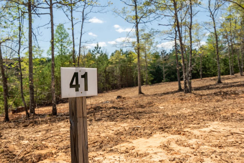 Lot 41 Sandy Lake Lane, Blairsville GA 30512 - Photo