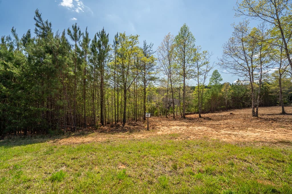 Lot 41 Sandy Lake Lane, Blairsville GA 30512 - Photo